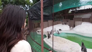 性感的哈塔诺在一只大公鸡上发火