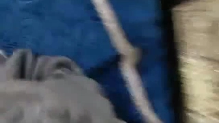 300172股票中午操熟女老婆3