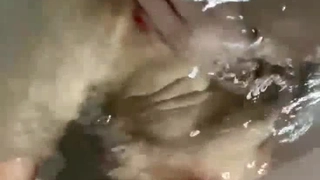 二零二三九月七号_人间榨精机